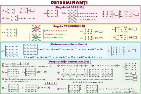 Matematica - Determinanti/ Functia putere (duo)