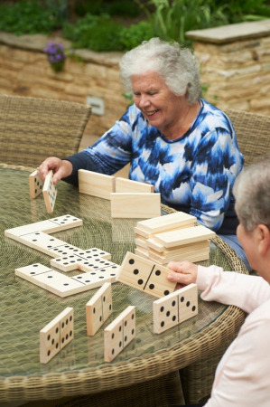 Domino din lemn gigant [8]
