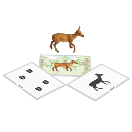 Figurine animale Montessori [9]