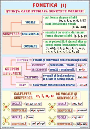 Limba romana - Fonetica(1) / Complementele necircumstanţiale (1)