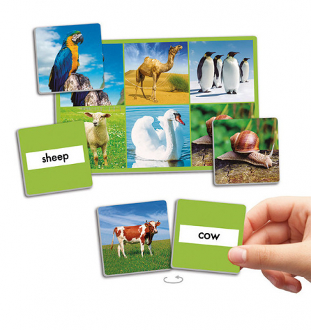 Limba engleza - Joc loto cu 72 de animale