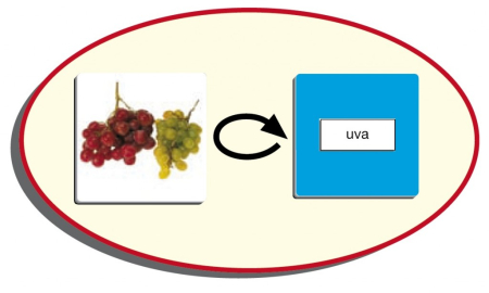 Loto + cuvinte 72 de alimente [4]