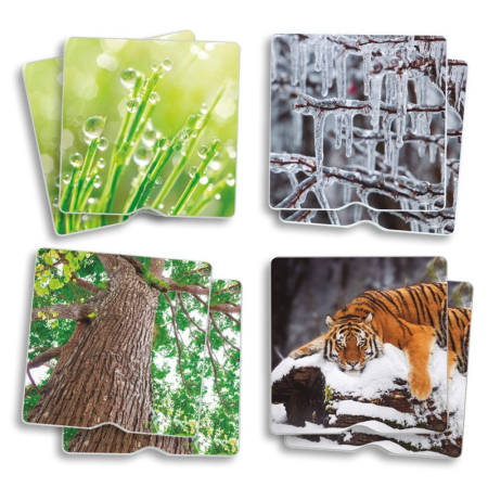 Maxi-Memory Tactil - Natura [4]