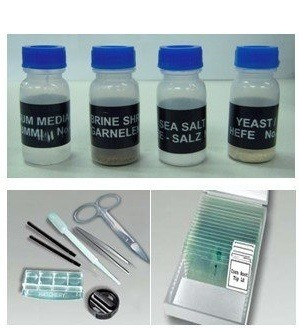 Microscop digital cu ecran LCD [14]