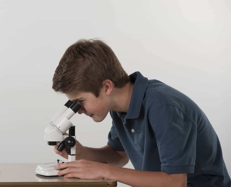 Microscop optic Stereo pentru elevi [3]