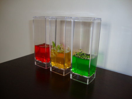 Set Micul Gradinar [4]