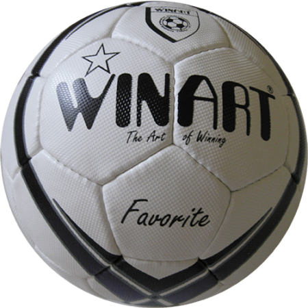 Minge fotbal Favorite [1]