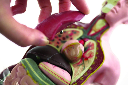 Model tors uman Mini demontabil [6]