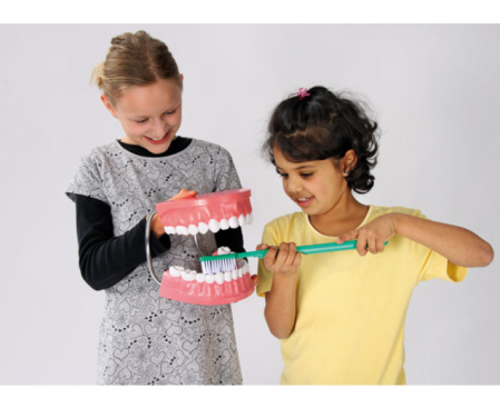 Igiena personala - Circulatie - Model de ingrijire dentara gigant multicolor Edutoys