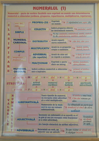 Limba romana - Numeralul (1) / Pronumele (1)