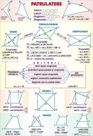 Matematica - Patrulatere/Functii de gradul II (duo)