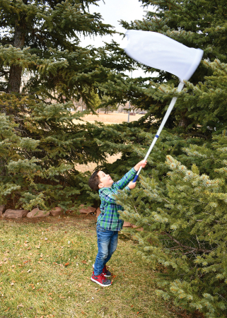 Plasa pentru insecte [1]