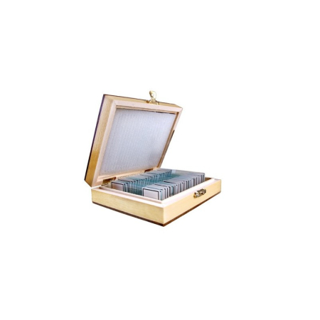 Accesorii microscoape - Preparate microscop botanica