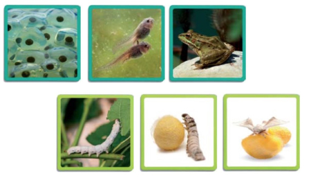 Secvente - ordine naturala [2]