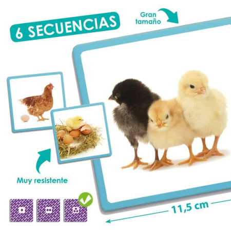 Logica - Secvente - ordine naturala