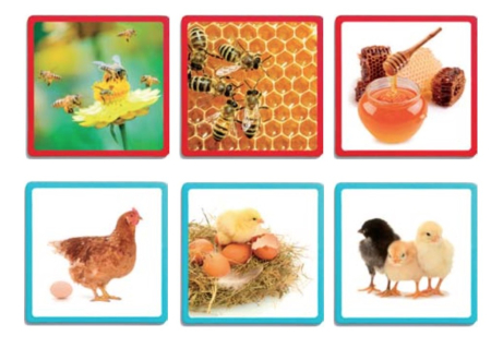 Secvente - ordine naturala [4]