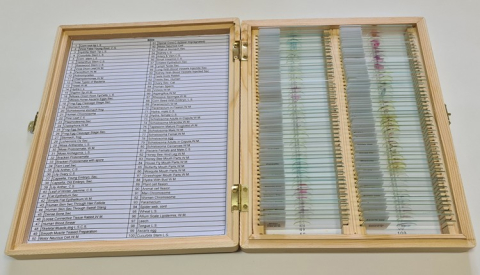 Set 100 preparate microscopice – BIOLOGIE GENERALA [3]