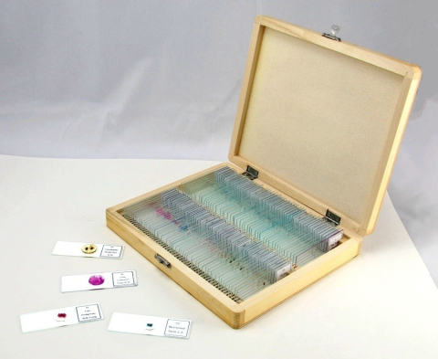 Biologie - Set 100 preparate microscopice – BIOLOGIE GENERALA