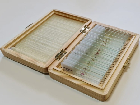 Accesorii microscoape - Set 30 preparate pentru microscop ZOOLOGIE