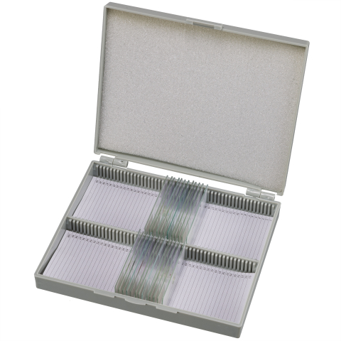 Accesorii microscoape - Set de preparate I. GIMNAZIU