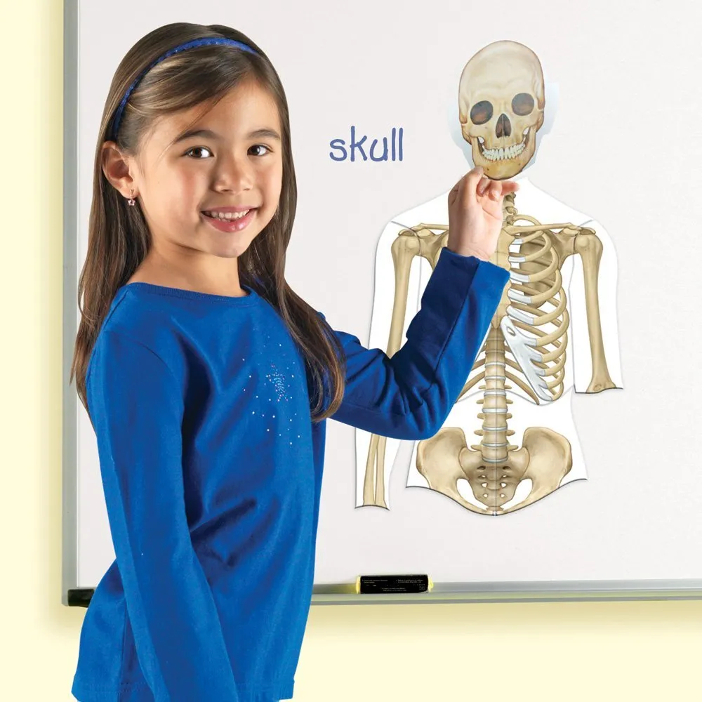 Set magnetic educational pentru copii 17 piese Corpul Uman pentru copii [2]