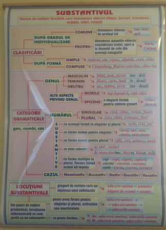 Limba romana - Substantivul / Cazurile substantivului