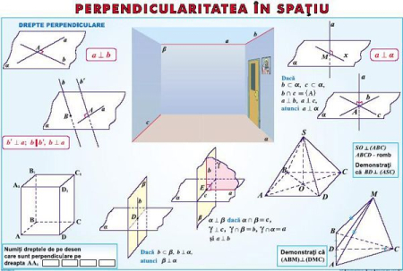 Planse nivel liceu - Transformari de grafice/ Perpendicularitatea in spatiu (duo)