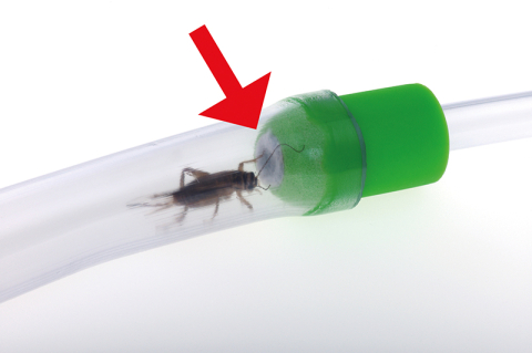 Tub colectare insecte – Pooter [3]
