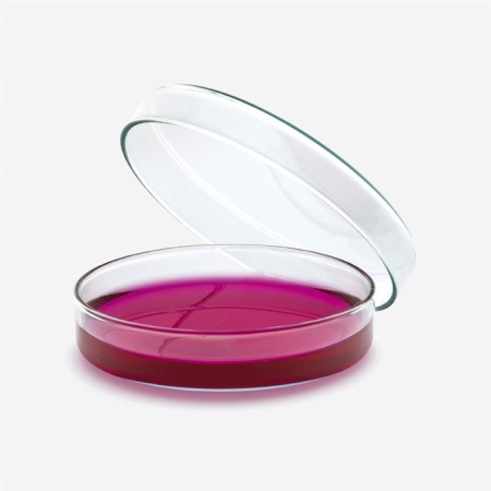 Sticlarie laborator chimie - Vas Petri