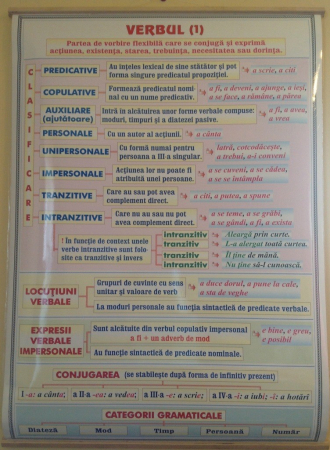 Limba romana - Verbul (1) / Vocabularul (Lexicul)