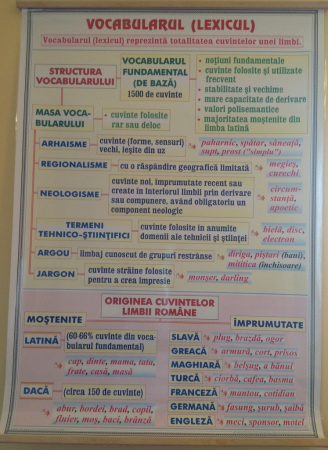 Verbul (1) / Vocabularul (Lexicul) [1]