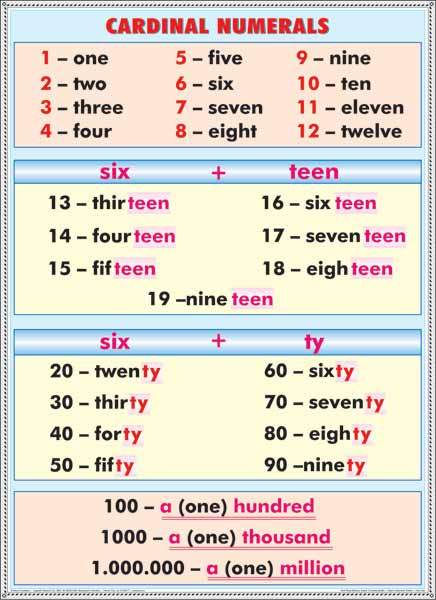 Adjective/Cardinal Numerals - Edu-Lab.ro