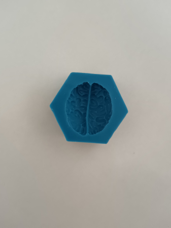 Matrita creier [1]
