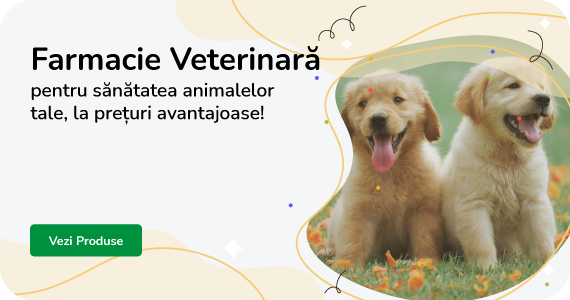 Farmacie Veterinara