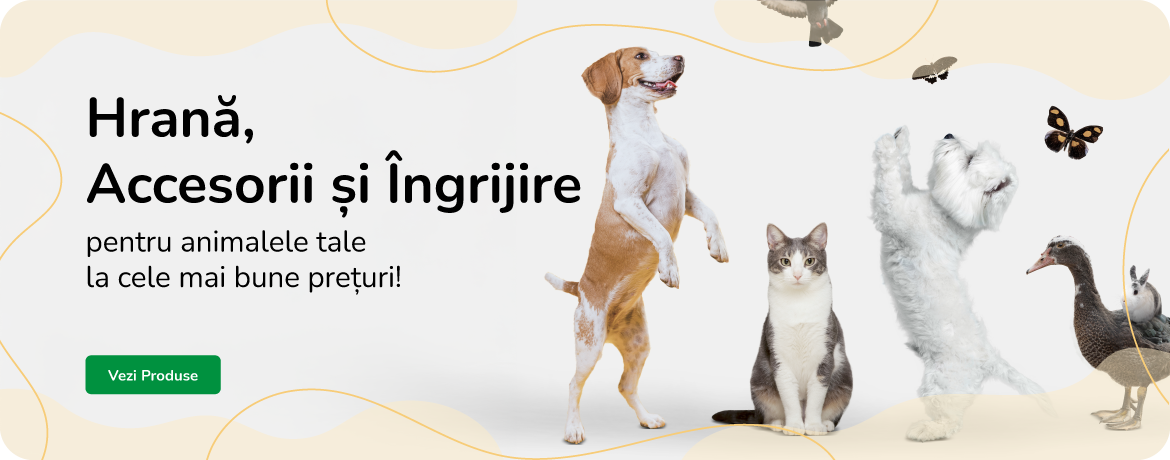 Hrana si accesorii