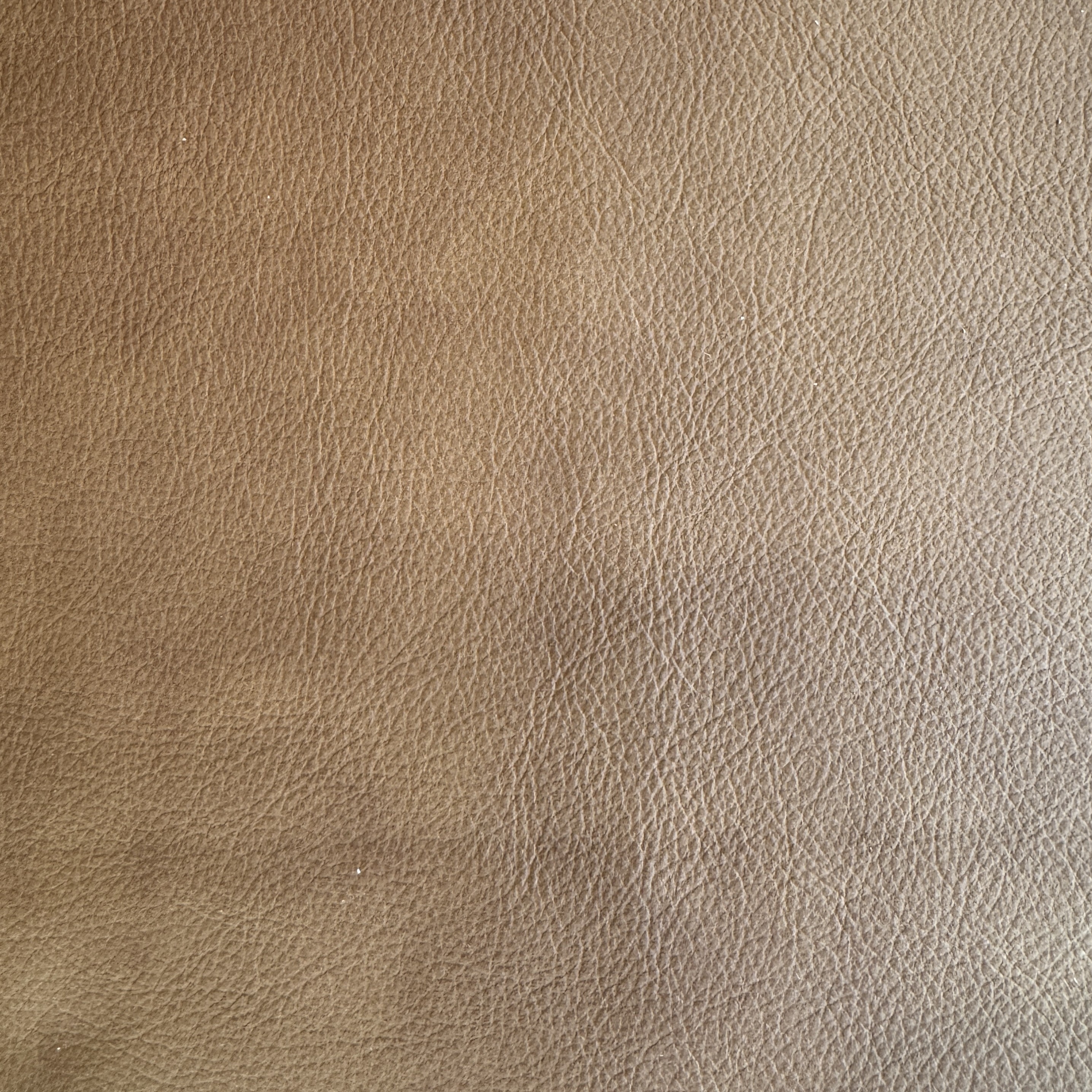 Maro Ghindă (CAT.4-3296)