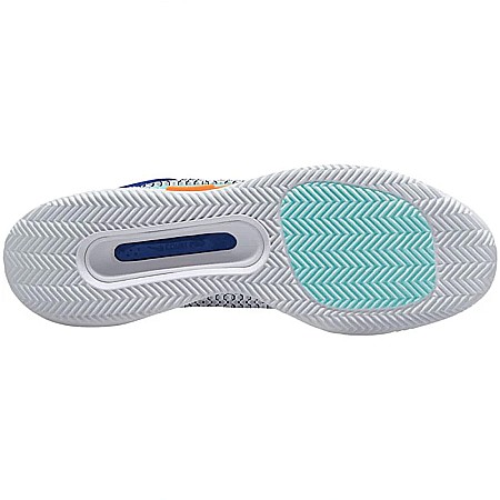 Pantofi sport Nike Zoom Court Pro [1]