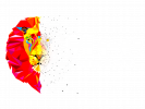 MEC Design & Print