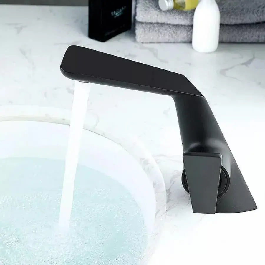 Baterie Lavoar, Alama Sanitara, Negru, 6727H [3]