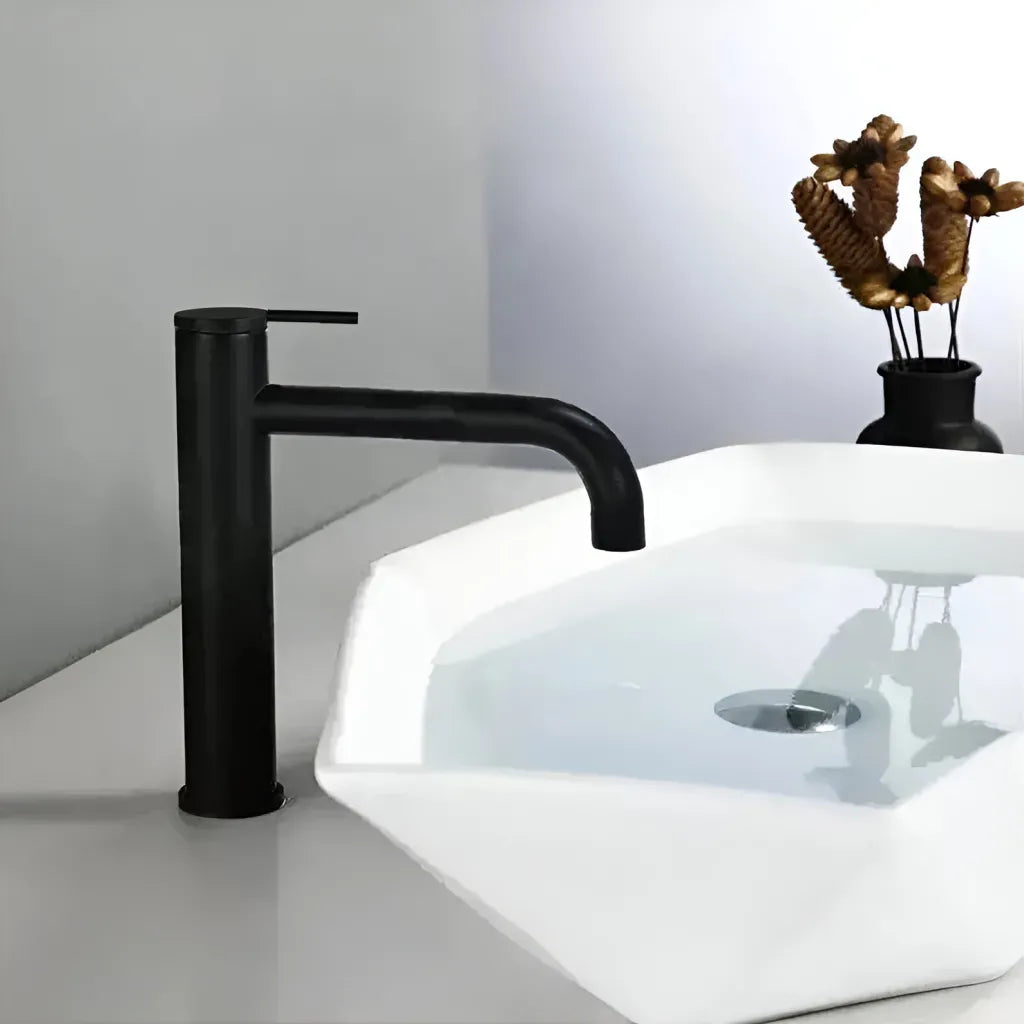 Baterie Lavoar, Alama Sanitara, Negru, 7237H [1]