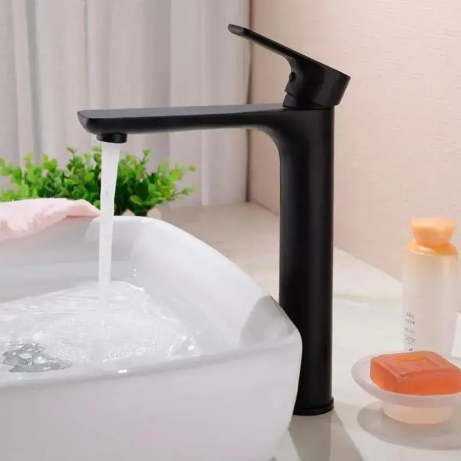 Baterie Lavoar, Alama Sanitara, Negru, CF2028 [1]