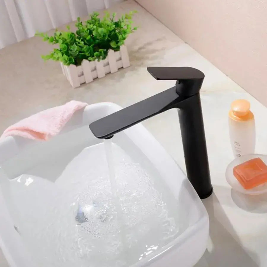 Baterie Lavoar, Alama Sanitara, Negru, CF2028 [2]