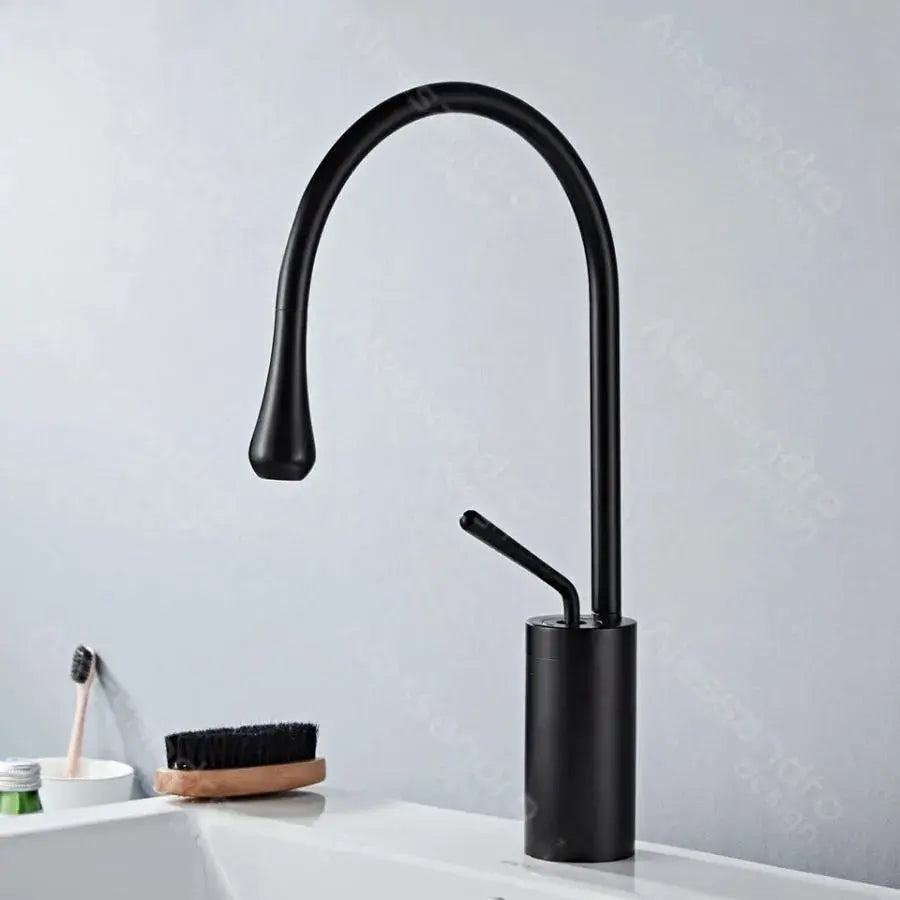 Baterie Lavoar, Alama Sanitara, Negru, WZY/327/B [2]