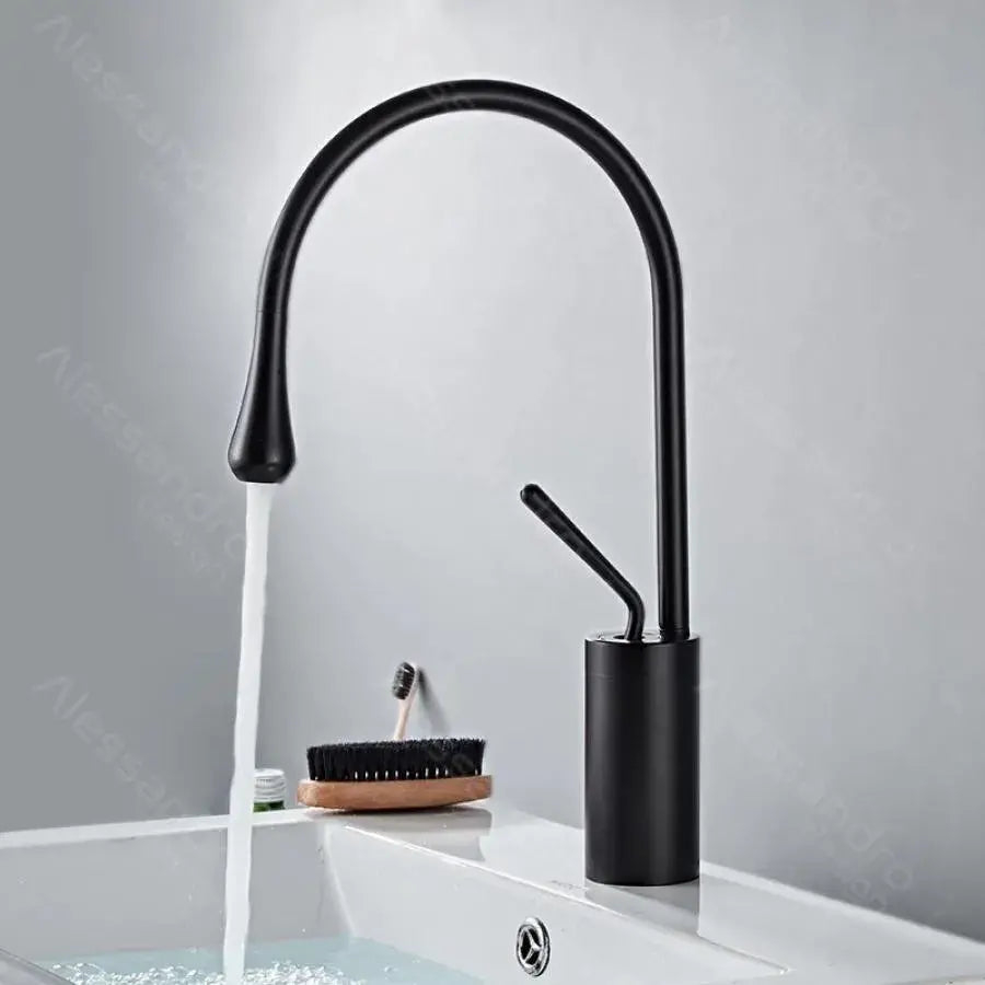 Baterie Lavoar, Alama Sanitara, Negru, WZY/327/B [1]