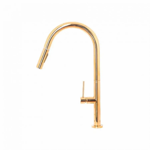 Baterie Bucatarie cu Dus Extractibil, Alama Sanitara, Auriu, CF2043 [1]