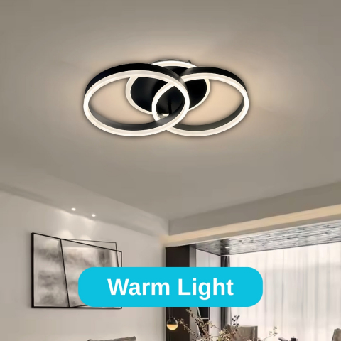 Lustra LED cu telecomanda RIGA LILITH 55W, 2 Cercuri, lumina Rece/Calda/Neutra, Dimabila, Negru [3]