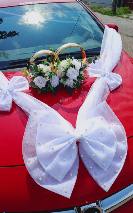 Aranjament mașină magnetic și Fundiță cu perle [4]