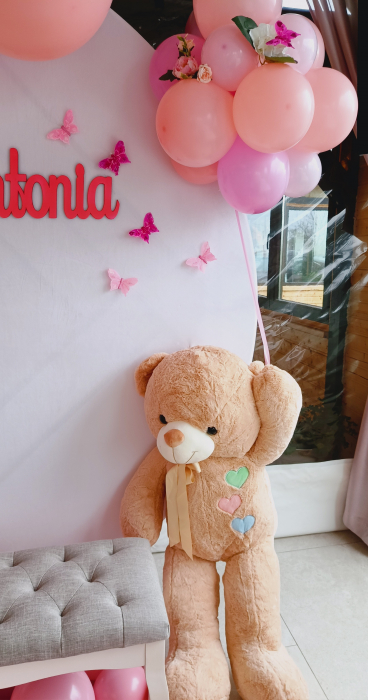 Decor din baloane botez Arad [4]