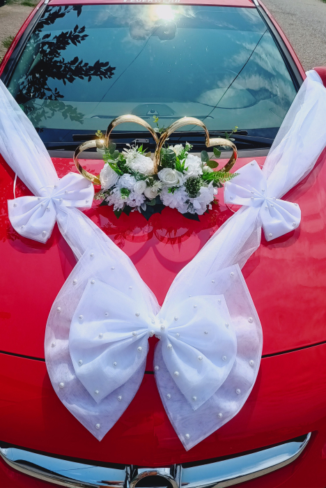 Aranjament mașină magnetic și Fundiță cu perle [2]