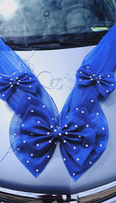 Decor masina Big Bow and Pearls [3]